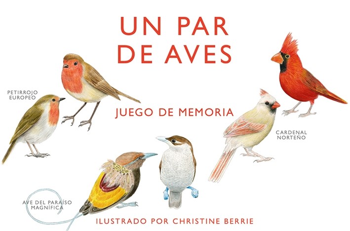 Un par de aves