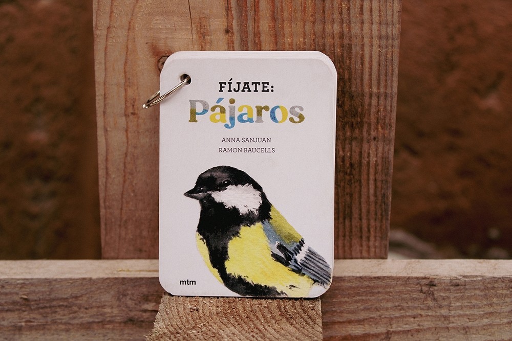Fíjate: Pájaros