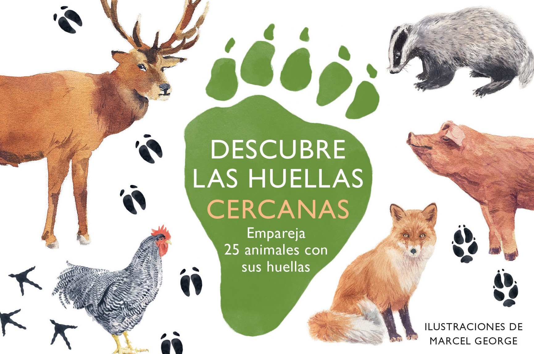 Descubre las huellas cercanas