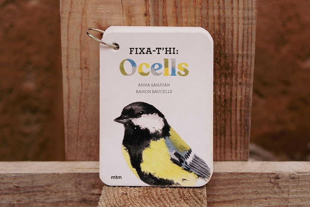 Fixa-t'hi: Ocells