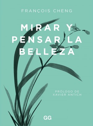 Mirar y pensar la belleza